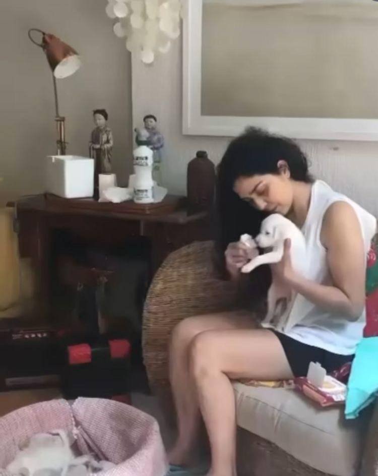 Let�cia Sabatella - Foto: Reprodu��o / Instagram