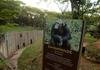 PBH emite nota sobre mortes de leoa e chimpanz� em zoo
