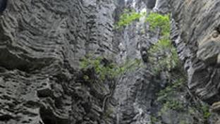 Hist�ria em fornadas