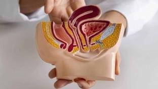 Mar�o Azul-Marinho: cinco curiosidades sobre o c�ncer colorretal