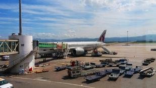 Cachorro na pista suspende operaes em aeroporto pelo 2 dia seguido 
