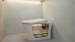 Voc� usaria na sua casa um vaso sanit�rio sem �gua?